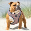 HUGO & HUDSON Fabric Vest Dog Harness - Adjustable Rear