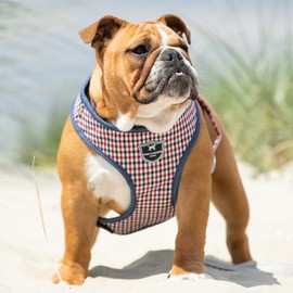 HUGO & HUDSON Fabric Vest Dog Harness - Adjustable Rear Buckle No Choke Harnesses for Training and Walking - Comfortable Soft Padding - Red and Blue Checked - L