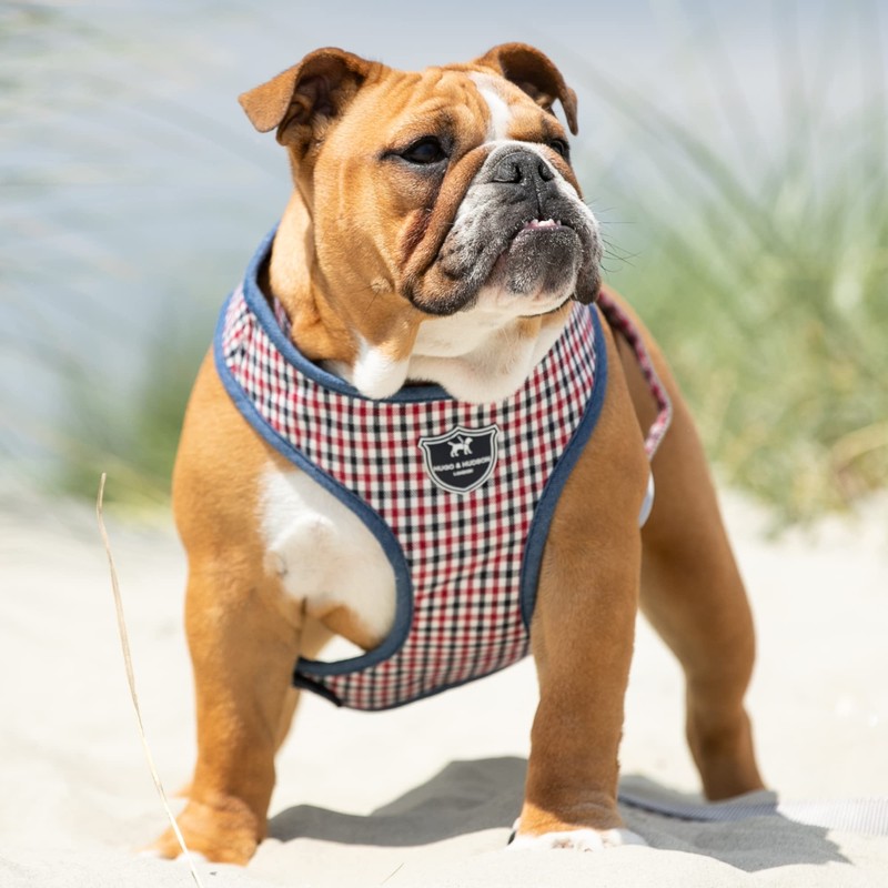 HUGO & HUDSON Fabric Vest Dog Harness - Adjustable Rear