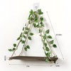 JOPSTDI JOPSTDI Floating Shelves,Plant Wall Decor,Wall Shelf,No Drill Shelves,Decorative Leaves