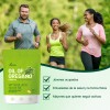Suplemento Cápsula Vvivonu Aceite Orégano 300