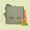Wild Ethos Scented Tea Lights - Natural Wax - Long