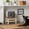 Bone Dry Pet Storage Collection Striped Paw Patch Bin, Black,