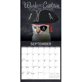 Willow Creek Press Catspirations Monthly 2025 Wall Calendar (12" x 12")