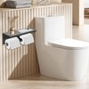 Double Toilet Paper Holder, Stainless Steel Tissue Paper Holder with