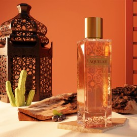 Diane Castel Aqilae - Musky Floral Fragrance - Perfume for Women - Women's Fragrances with Blueberry, Amber, Honey, Musk, and Oud - 3.3 oz