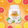 Xylichew Xylitol Gum - Chewing Gum Sugar Free, Aspartame Free,