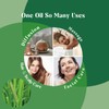 LOTUSJOY Calamus Essential Oil for Skin Hair Diffuser- 1 Oz