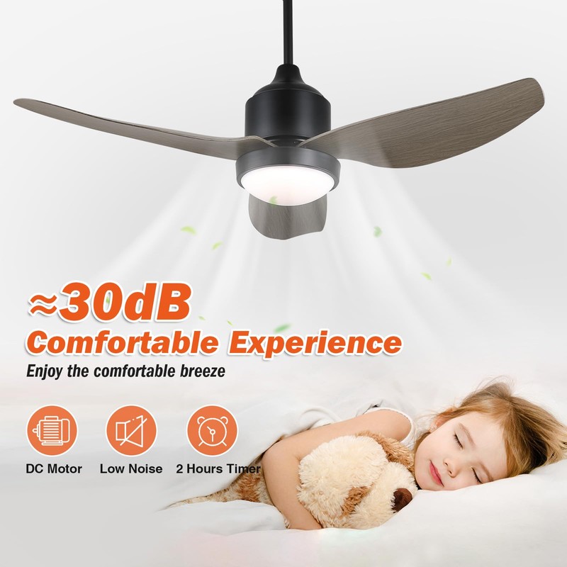 BZX Waterproof Outdoor Ceiling-Fan with Light - 42" Modern Ceiling