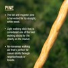 Brazos Handcrafted Wood Walking Stick, Twisted Pine, Trekker Style Handle,