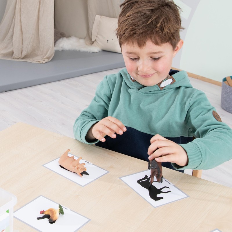 Betzold - Assigning Animals - Order Game Basic School