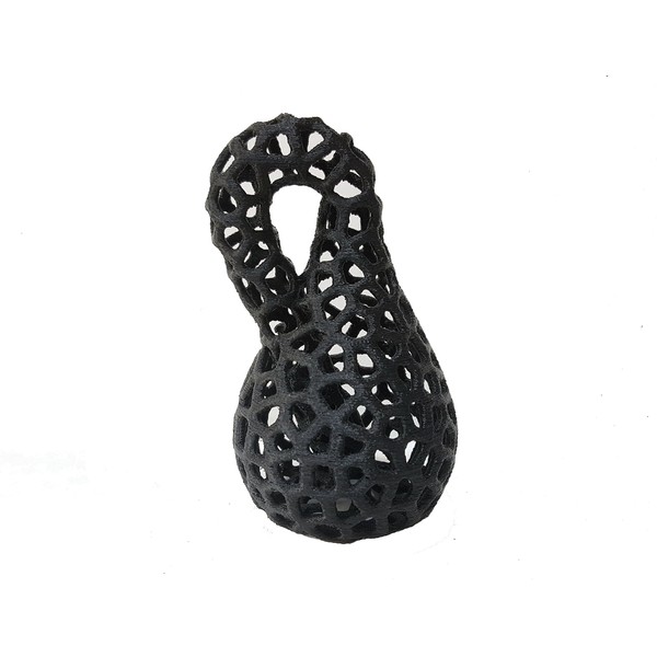 Klein Bottle 3D Printed Vase Mathematics Art