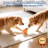 petizer 6 Pack 2.5’’ ETPU Tennis Balls Dog Toy for