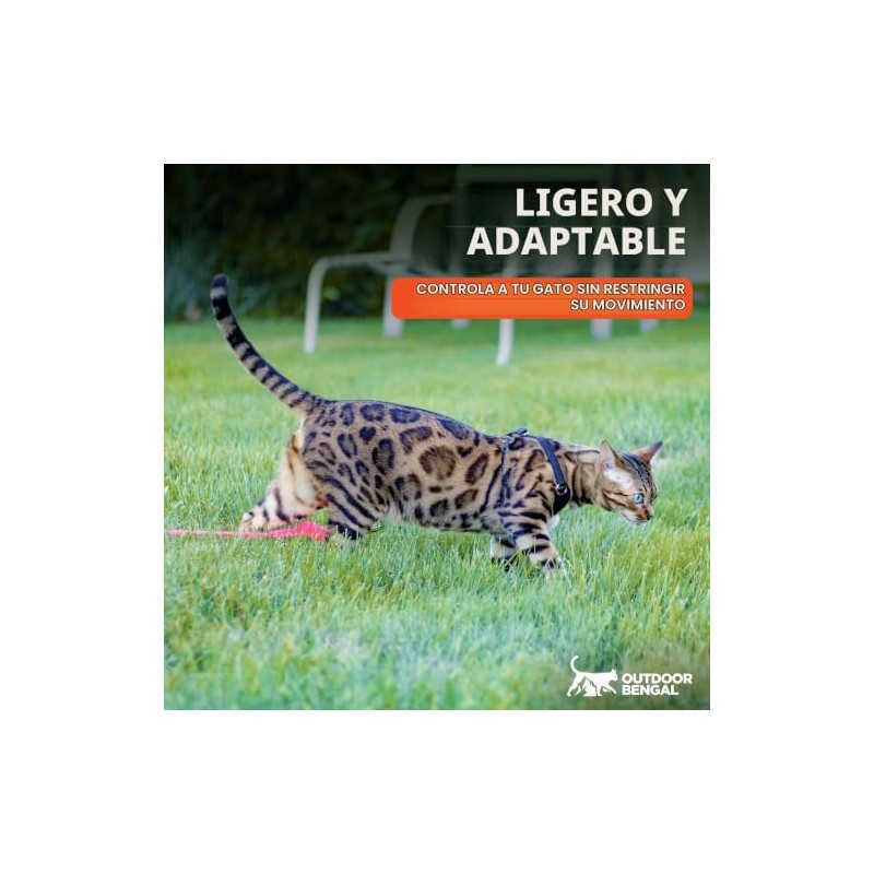 Arnés y correa para gatos, a prueba de escapes, sin