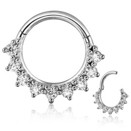 Twolobes 1PCS 16G/8mm Silver Surgical Stainless Steel Segment Nose Rings CZ,Cartilage Clicker Hoop Earrings for Rook, Daith, Tragus, Hypoallergenic for men and women