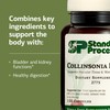 Standard Process Collinsonia Root - Healthy Vascular Tissue Support Supplement