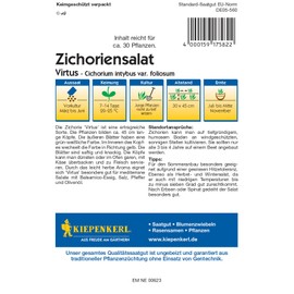 Kiepenkerl 2582, Chicory Salad Virtus F1, Portion Seeds, Sugar Cloth Salad with High Firm Heads and Large Leaves