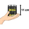 Forzagen | Aminoácidos BCAA + Glutamine | 8 g de