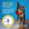 Dr. Buzby's Toegrips para Perros – Tracción Instantánea En Suelos