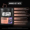 ESN ESN AMINOS, Blackberry, 400 g, feines Amino-Pulver mit essentiellen