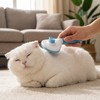 Pet Grooming Brush for Dogs & Cats – One-Button Hair