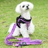 ANNA SUI Anna Sui Butterfly Embroidered Ruffle Harness | Anna