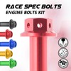 Autobahn88 Motorcycle Engine Bolt Dress-up Kit, compatible with Kawasaki KX125