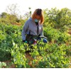 Namvo Garden Tools Storage Bag with Pockets, Garden Canvas Bag,