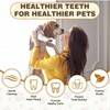 UrbanX Teeth Cleaning Wipes for Jack Chi and Other Mixed