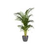 elho Brussels Round 18 - Flower Pot for Indoor -