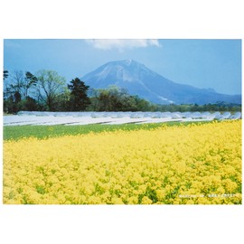 FUJICOLOR 1166 Picture Frame, Pro Frame, A4, Acrylic, Silver