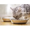 BiteKing Stainless Steel Cat Bowls, Whisker Fatigue Relief Cat Food