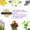Precious Aromas Essential Oil Lavender Rose Tea Tree Rosemary Jasmine