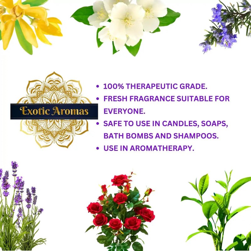 Precious Aromas Essential Oil Lavender Rose Tea Tree Rosemary Jasmine