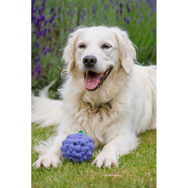Petface Latex Blackberry Soft Chew Dog Toy, Large