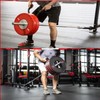 T-bar Row Platform with Chain Full 360°Swivel Eyelet Landmine Attachment