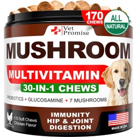 Turkey Tail Mushroom for Dogs - 170 Chews - Mushroom Supplement for Dogs - Lions Mane - Reishi - Immunity Support Multivitamin Vitamins - Joint Health - Energy - Gut - Skin - Made in USA