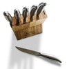 Stainless Steel Steak Knife Set of 6 With Block Dishwasher