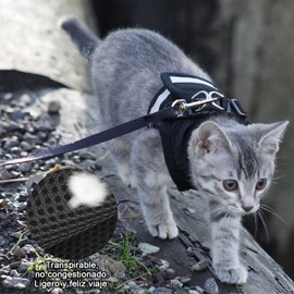DOXLIO Correa Gato, Arnés y Correa para Gatos, Ajustable Transpirable y con Líneas Reflejantes. Arnés para Gato, Ideal para Gatos Pasear al Aire Libre (Negro, M)