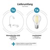 ledscom.de LELE Clamp Light with Gooseneck White with E27 Lamp