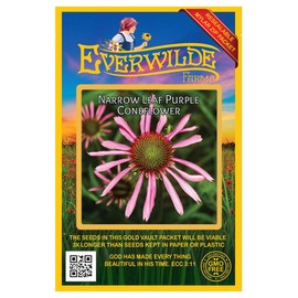 Everwilde Farms - 200 Narrow-Leaf Purple Coneflower Native Wildflower Seeds - Gold Vault Jumbo Seed Packet