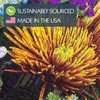 Aether Puzzles - from The Garden, Part 1 Flower Puzzle,