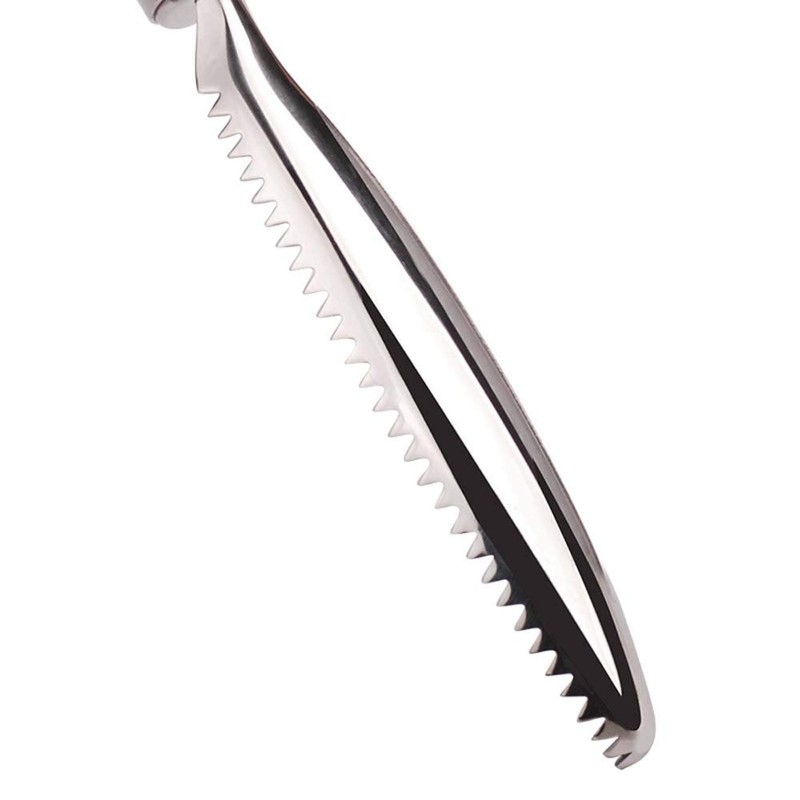 Fish Scale Remover，homeey 304 Stainless Steel Fish Scale Scraper, Ergonomic