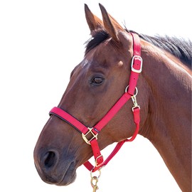 Shires Topaz Nylon Headcollars (387) Red Extra Full