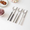 Celebrity Cutlery Kamome Kitchen Color Mood Spoons Chopsticks Cutlery Set