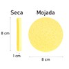 Esponja Facial Comprimida 12 Pzs Universo En Linea Lavado Facial