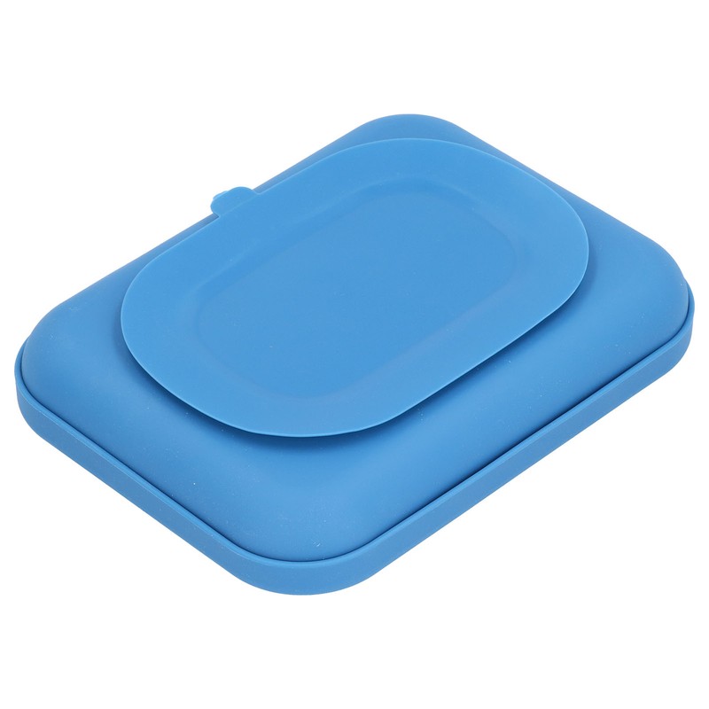 Baby Silicone Divided Food Plate with Lid Drop Resistant Suction