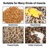 Mealworm Breeding Kit,Prevent Escape Mealworms Keeper,Four-Layer High Capacity Mealworm Farm,To