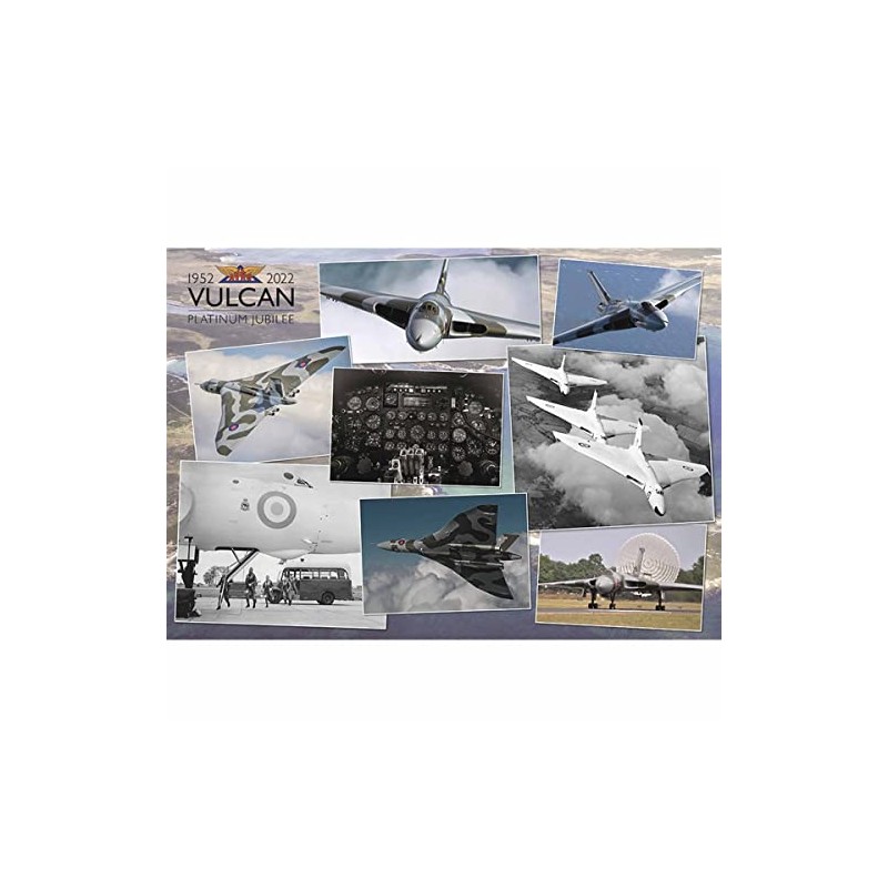 Otter House Gift 1000 Pc Jigsaw Puzzle - Vulcan Platinum