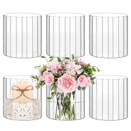 6 Pack Glass Cylinder Vases for Centerpieces, 4 Inch Tall Clear Ribbed Vase, Bulk Glass Vases Hurricane Floating Candle Holder Flowers Decor, Table Shelf, Floating Candle and Home Decor